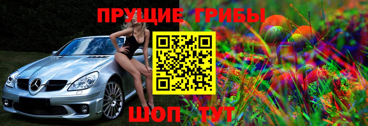 Псилоцибиновые грибы GOLDEN TEACHER Ивантеевка
